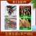 根量大-有机水溶肥料生根壮苗提质增产