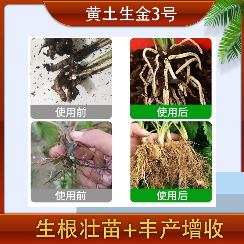 根量大-有机水溶肥料生根壮苗提质增产
