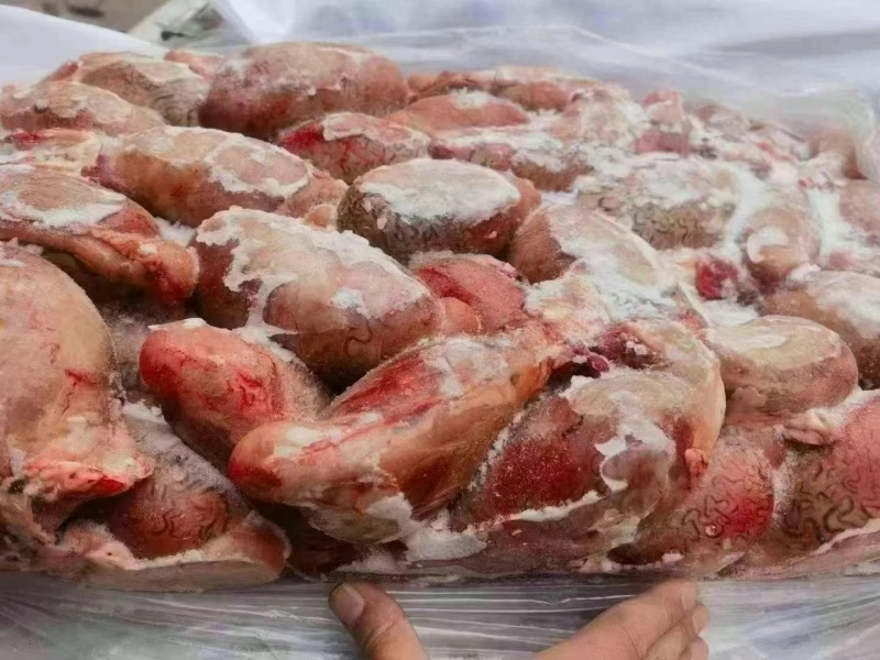 精品牛宝现货，货源充足，可炖汤，烧烤等，大补神器！！！！