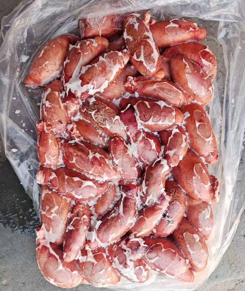 精品牛宝现货，货源充足，可炖汤，烧烤等，大补神器！！！！