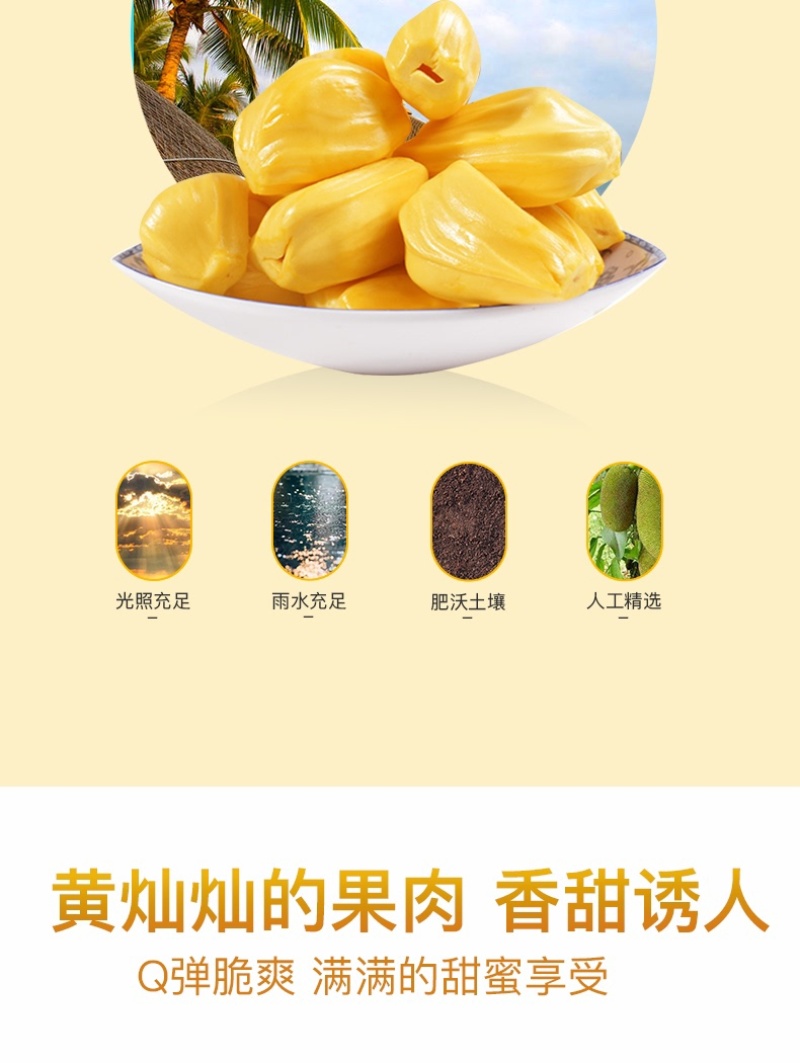 菠萝蜜/海南菠萝蜜/产地货源/质量三包/欢迎采购