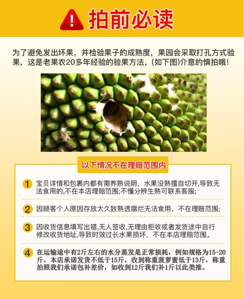 菠萝蜜/海南菠萝蜜/产地货源/质量三包/欢迎采购