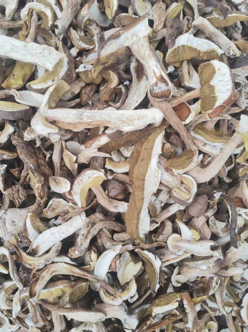 白牛肝菌（美味牛肝菌）