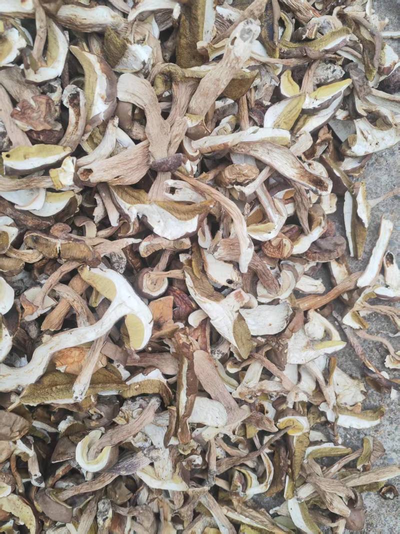 白牛肝菌（美味牛肝菌）
