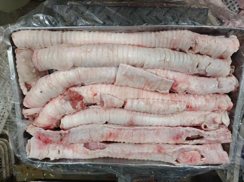 牛喉管肺管