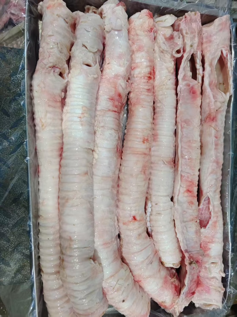 牛喉管肺管