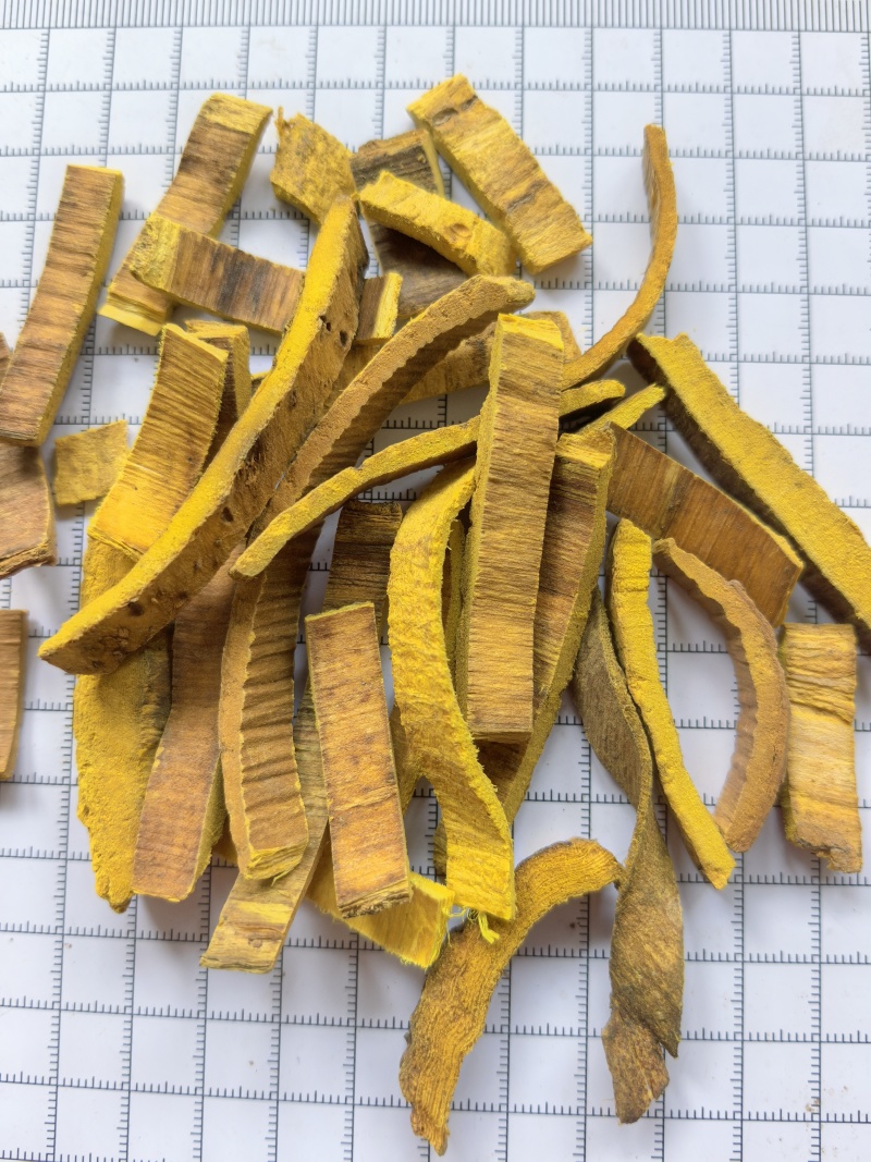 批发去皮黄柏川黄柏新货不熏染农产品量大从优中药材原料