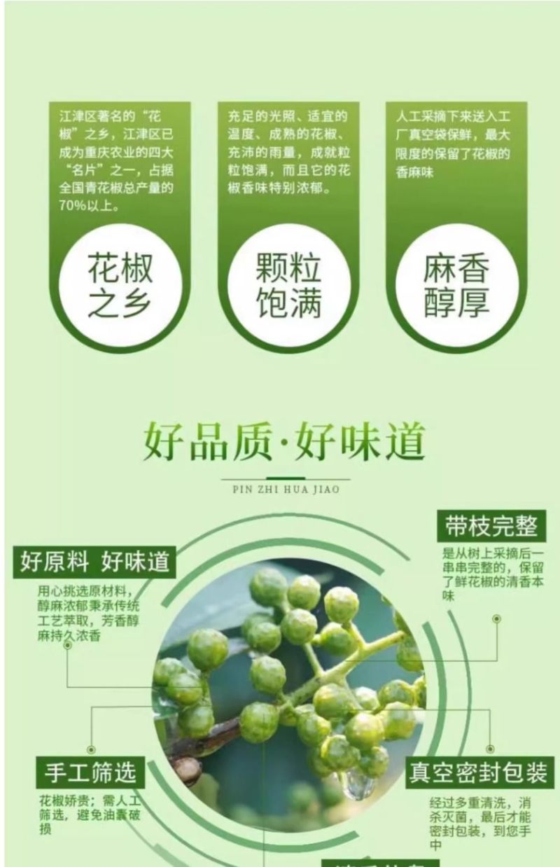 四川特产鲜藤椒特香特麻鲜花椒新鲜生花椒重庆麻椒家用散装青