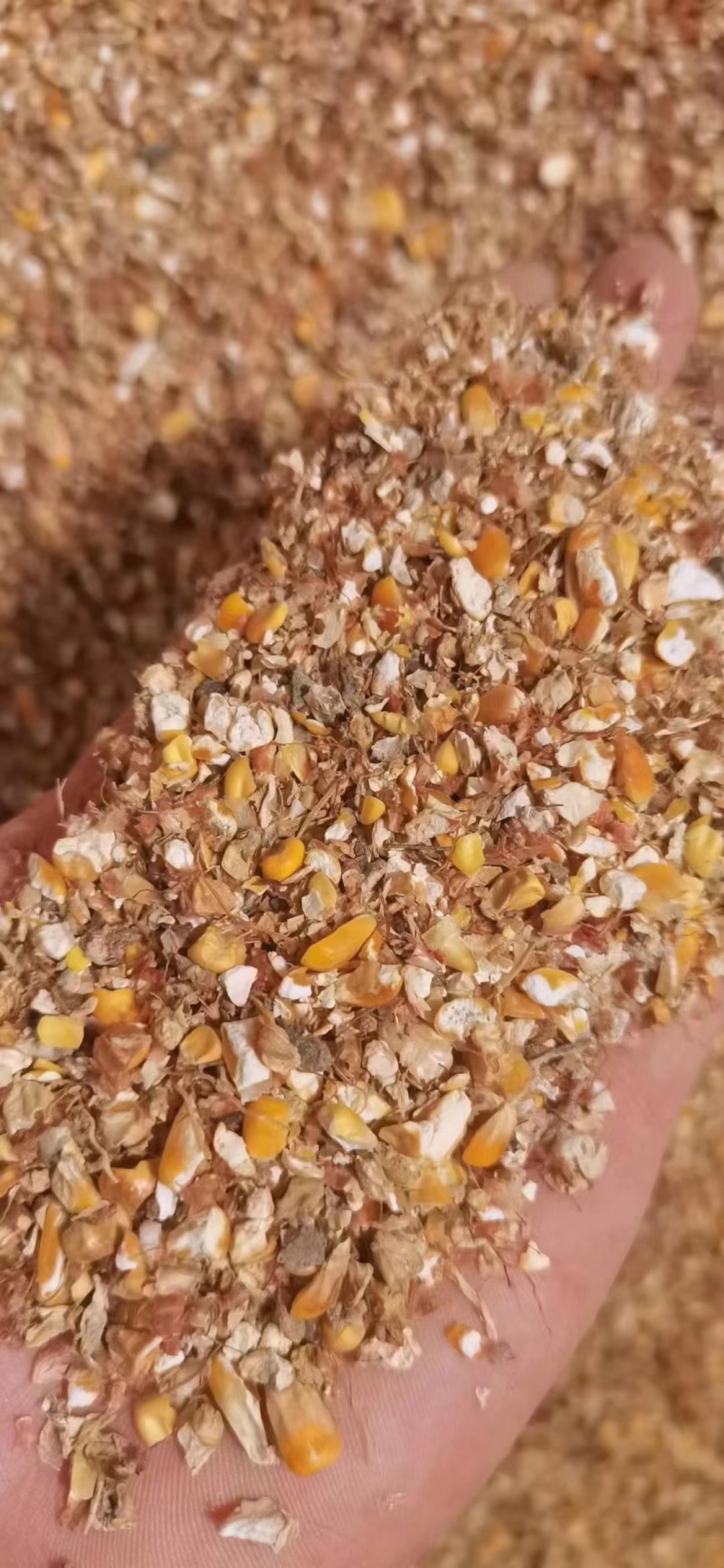 碎玉米碎玉米净粮毛粮适合鸡鸭鹅牛羊养殖饲料二次加工