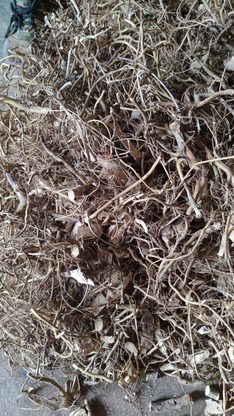 白花牛奶根砍段