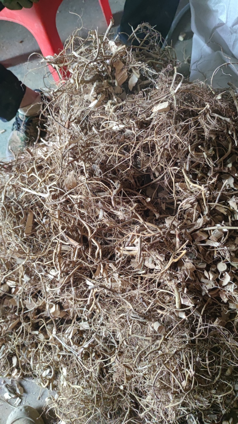 白花牛奶根砍段