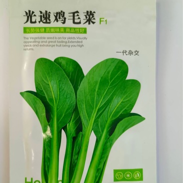 光速鸡毛菜-鸡毛菜种子耐热耐雨产量高采收快口感好