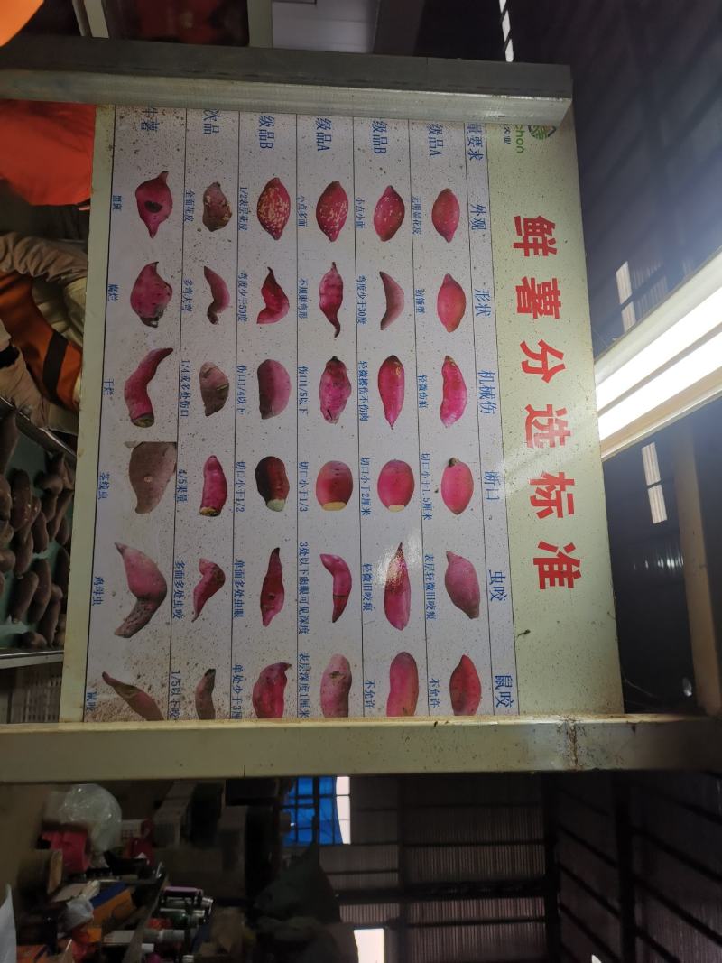 产地直发，一件代发。