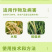 50%甲基硫菌灵悬浮叶斑稻瘟黑斑立枯炭疽