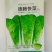 速腾快菜-白菜种子耐湿热成长速度快抗病性好产量高采收快