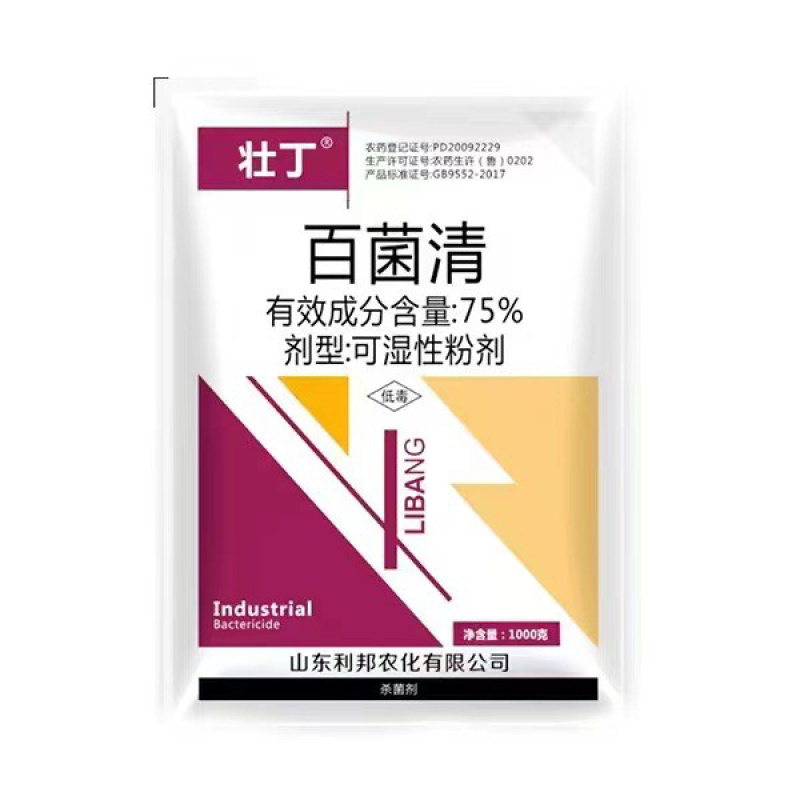 75%百菌清斑点落叶病炭疽果树蔬菜大田都可用