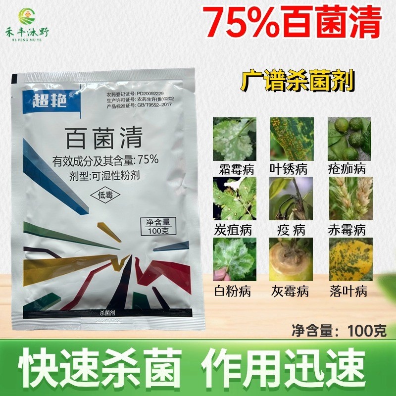 75%百菌清斑点落叶病炭疽果树蔬菜大田都可用