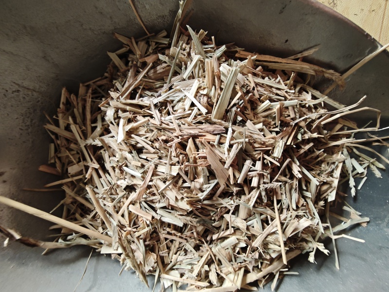 中药材牛筋草1公斤食用农产品牛筋草干***新货牛筋草