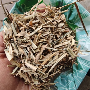 中药材牛筋草1公斤食用农产品牛筋草干***新货牛筋草