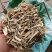 中药材牛筋草1公斤食用农产品牛筋草干***新货牛筋草
