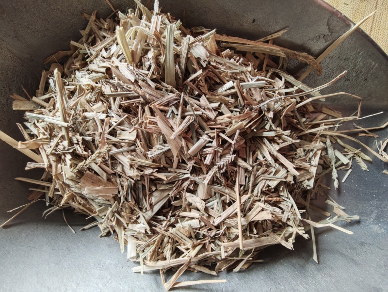 中药材牛筋草1公斤食用农产品牛筋草干***新货牛筋草