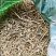 中药材牛筋草1公斤食用农产品牛筋草干***新货牛筋草