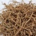 中药材玉簪根1公斤玉簪花根玉簪花白玉簪花根