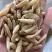 麦冬川麦冬湖北麦冬各种规格产品实拍