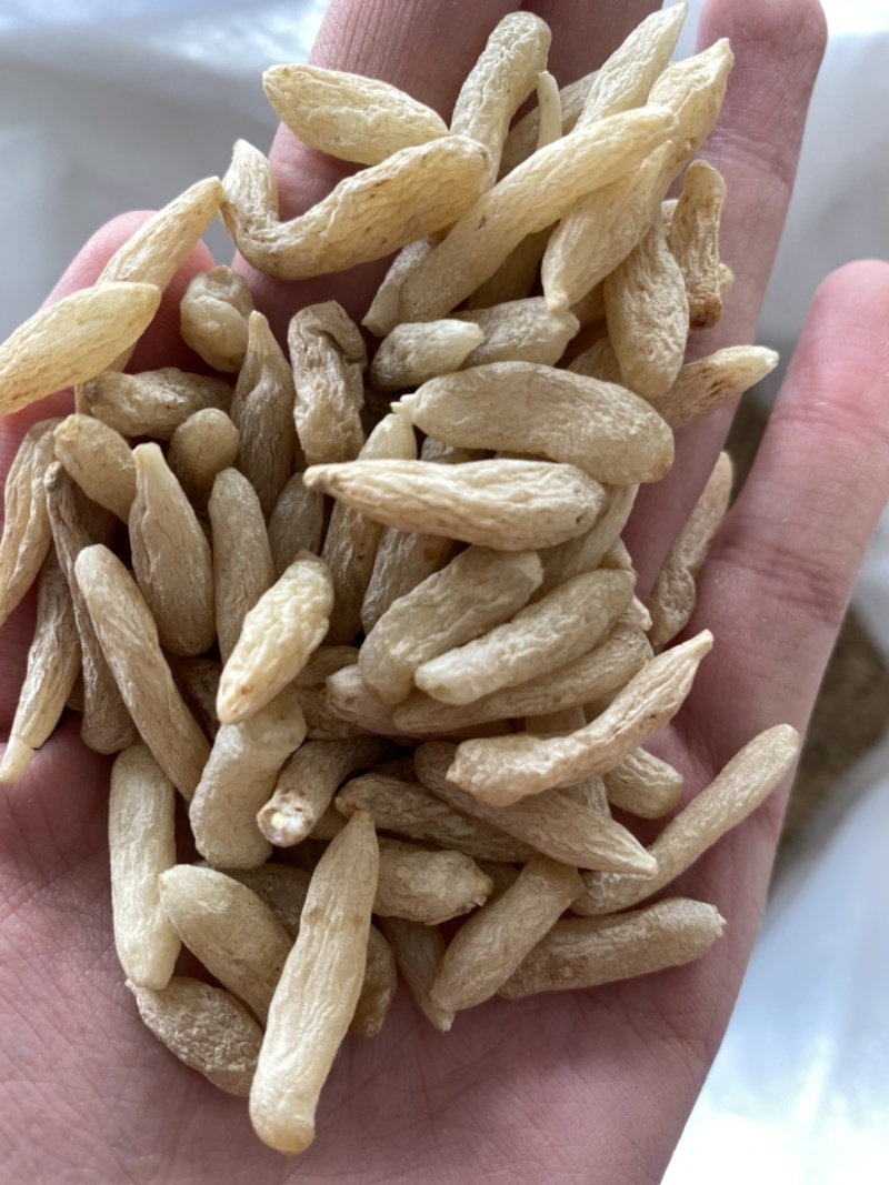 麦冬川麦冬湖北麦冬各种规格产品实拍