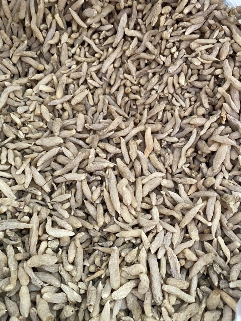 麦冬川麦冬湖北麦冬各种规格产品实拍