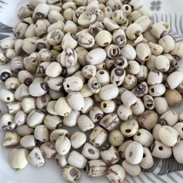 莲子抽芯白莲子干货药食两用产品实拍质量保证