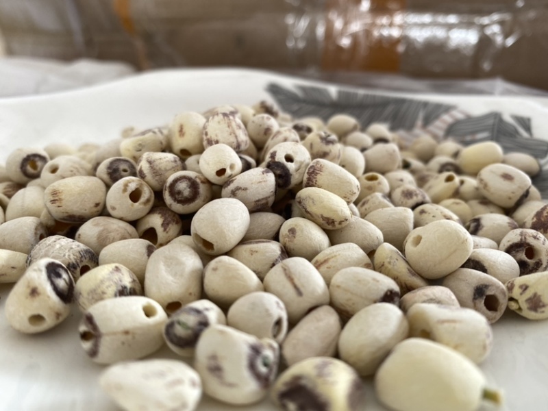 莲子抽芯白莲子干货药食两用产品实拍质量保证