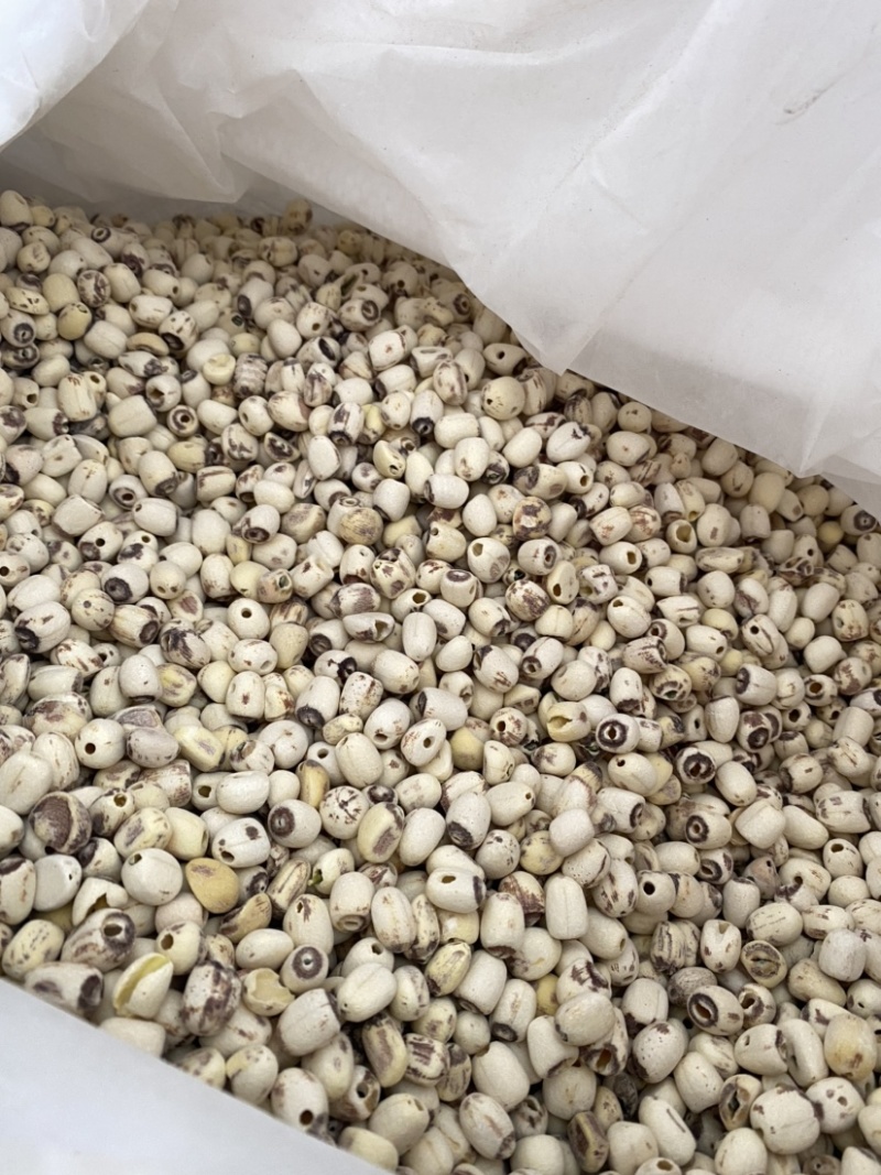 莲子抽芯白莲子干货药食两用产品实拍质量保证