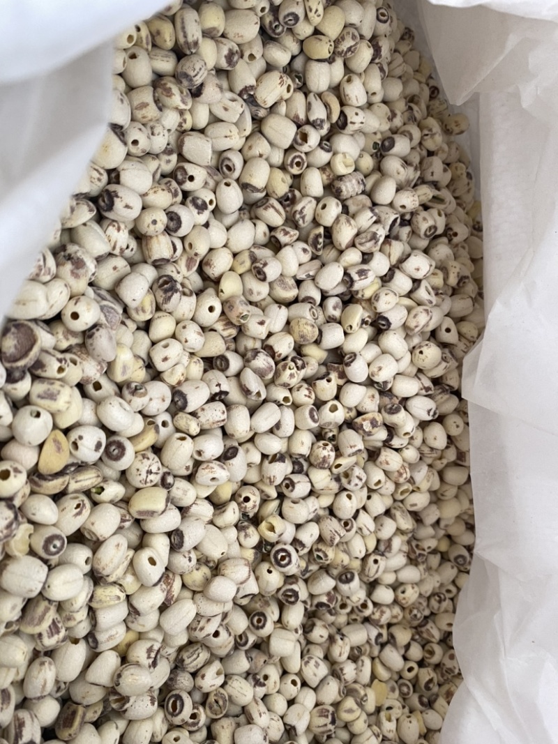 莲子抽芯白莲子干货药食两用产品实拍质量保证