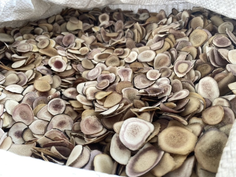 鹿角片颜色好实图拍摄净货质量保证