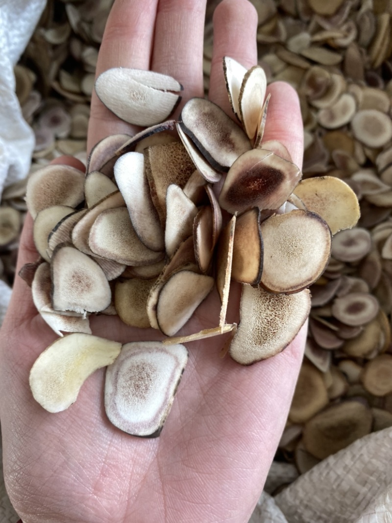 鹿角片颜色好实图拍摄净货质量保证