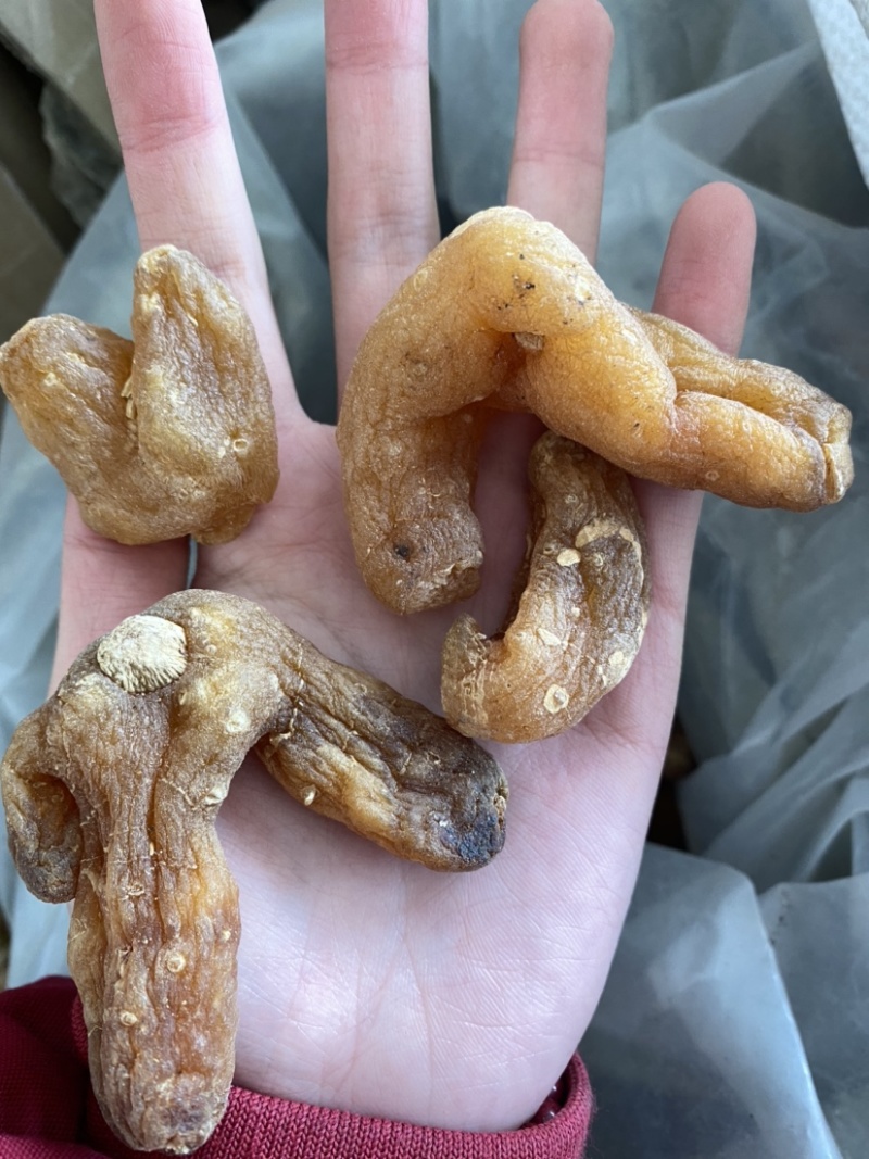 黄精个生黄精净货产品实拍质量保证