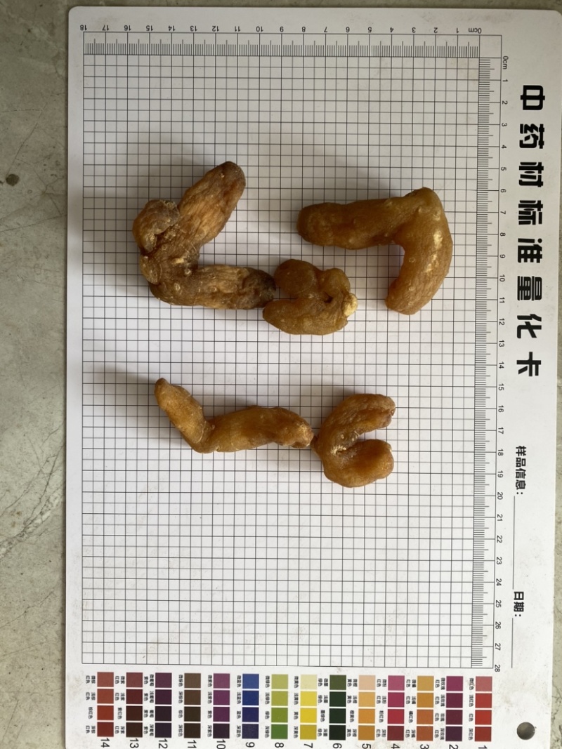 黄精个生黄精净货产品实拍质量保证
