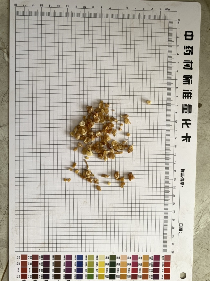 薤白干货产地直供产品实拍质量保证