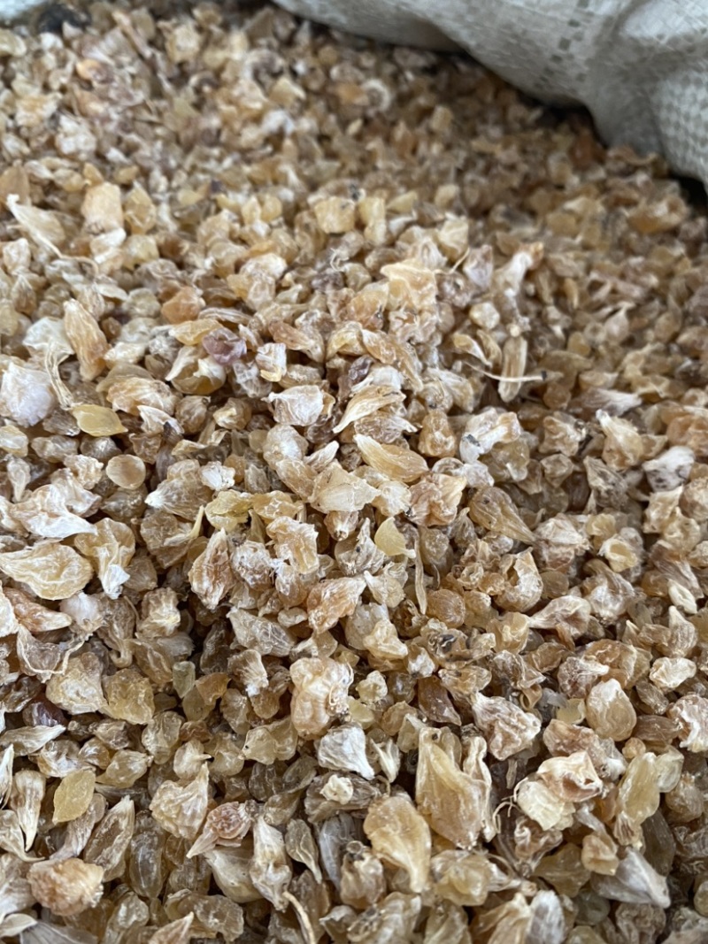 薤白干货产地直供产品实拍质量保证