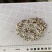 芡实芡实米新货产地直发产品实拍质量保证