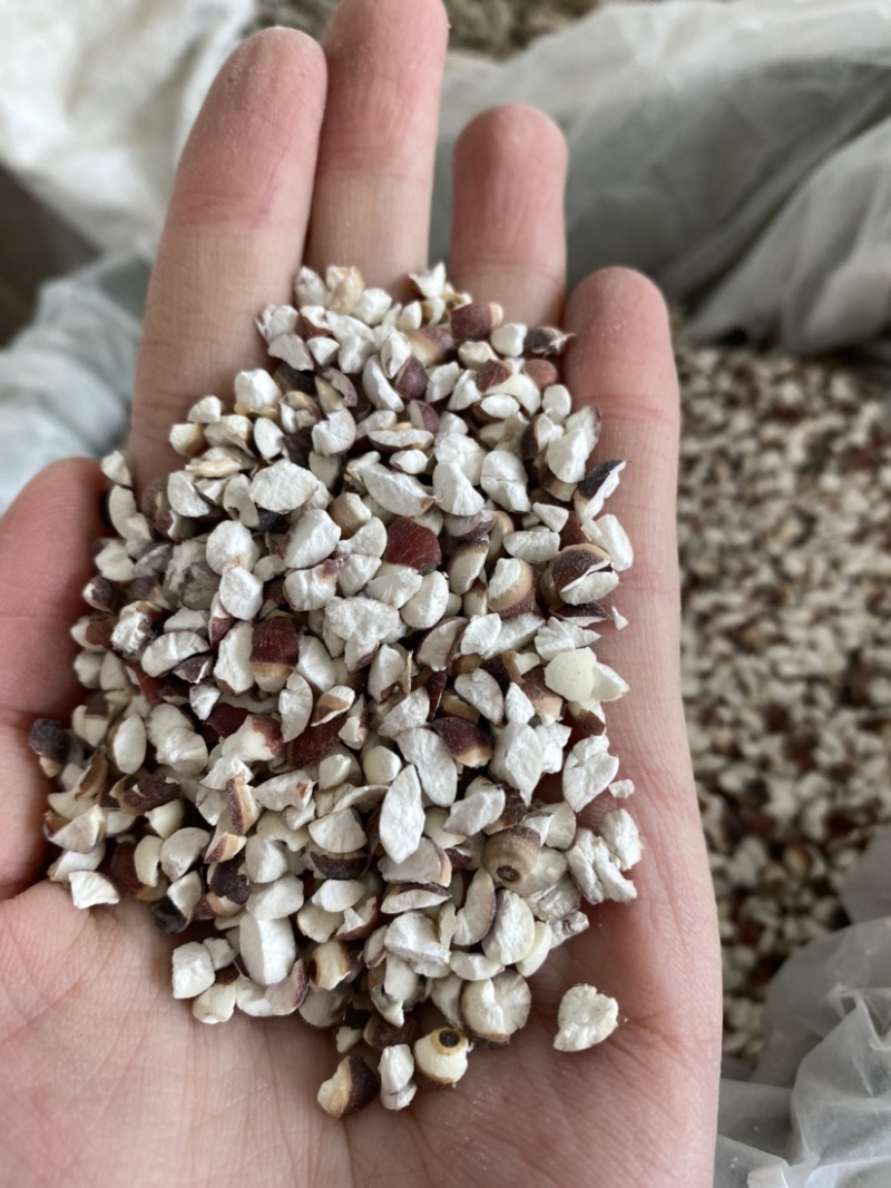 芡实芡实米新货产地直发产品实拍质量保证
