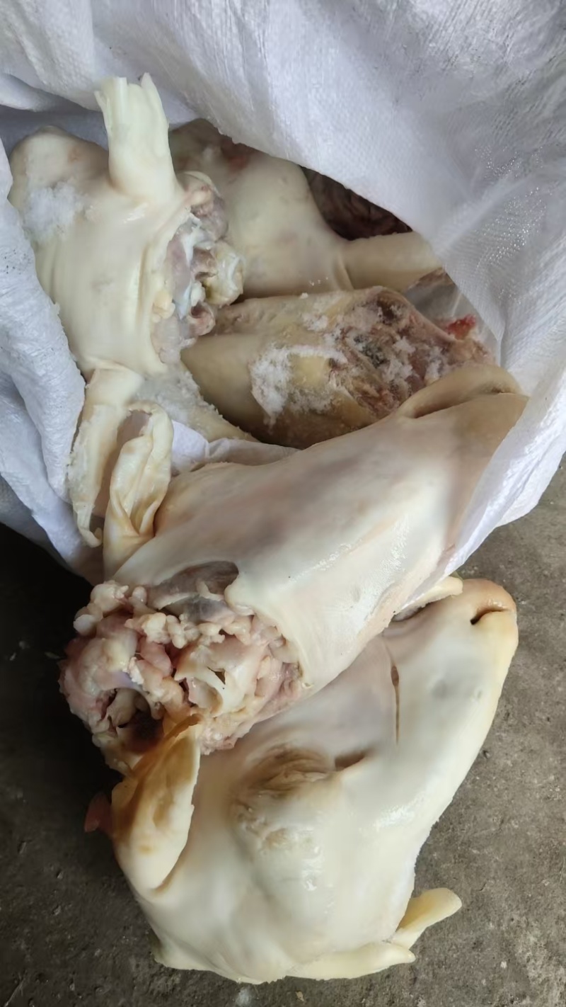羊头，白头，红头，花头，大量现货，价格美丽，欢迎咨询！！