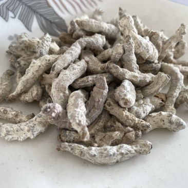 僵蚕白僵蚕产品实拍质量保证