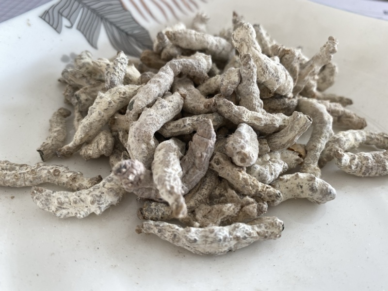 僵蚕白僵蚕产品实拍质量保证