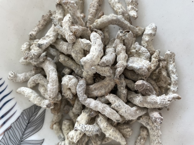 僵蚕白僵蚕产品实拍质量保证