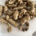 巴戟天产品实拍一手货源量大从优