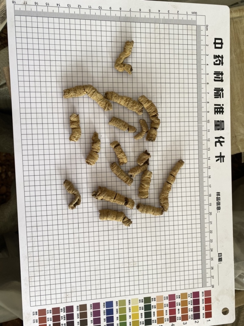 巴戟天产品实拍一手货源量大从优