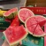 河南商丘夏邑麒麟西瓜🍉