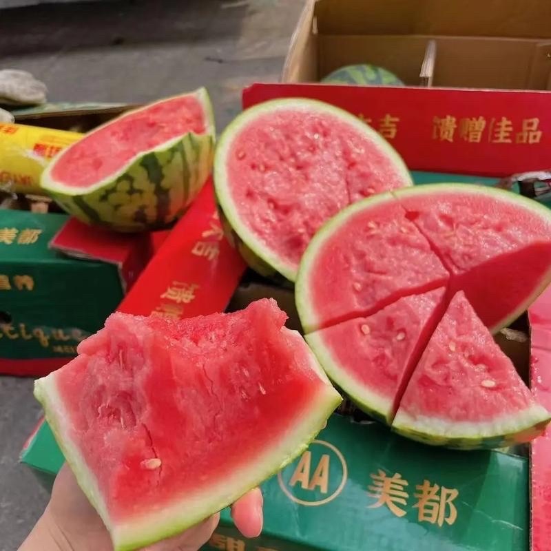 河南商丘夏邑麒麟西瓜🍉